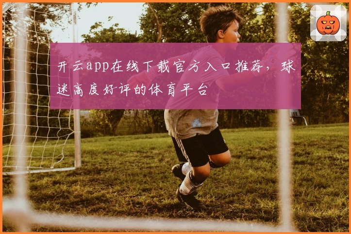 开云app在线下载官方入口推荐，球迷高度好评的体育平台