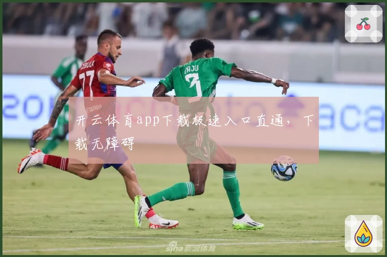 开云体育app下载极速入口直通，下载无障碍
