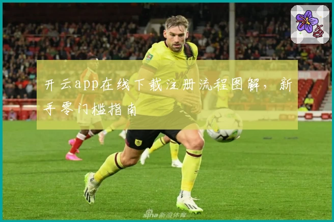 开云app在线下载注册流程图解，新手零门槛指南