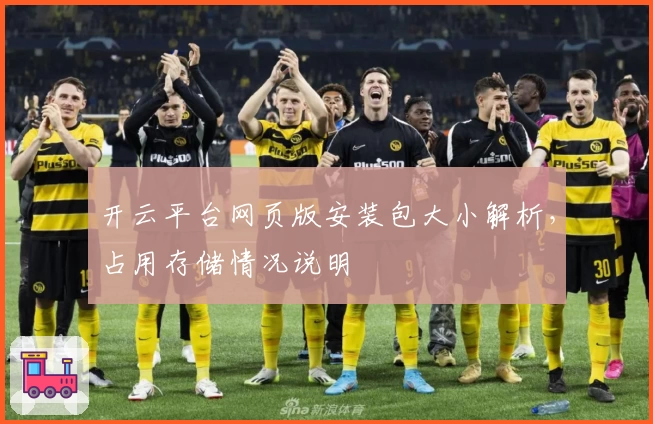 开云平台网页版安装包大小解析，占用存储情况说明